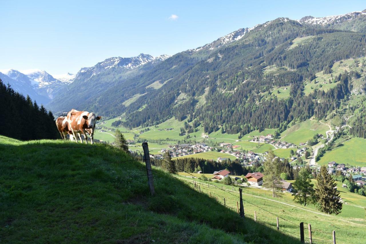 Vorderstuhlhof Appartement Kleinarl